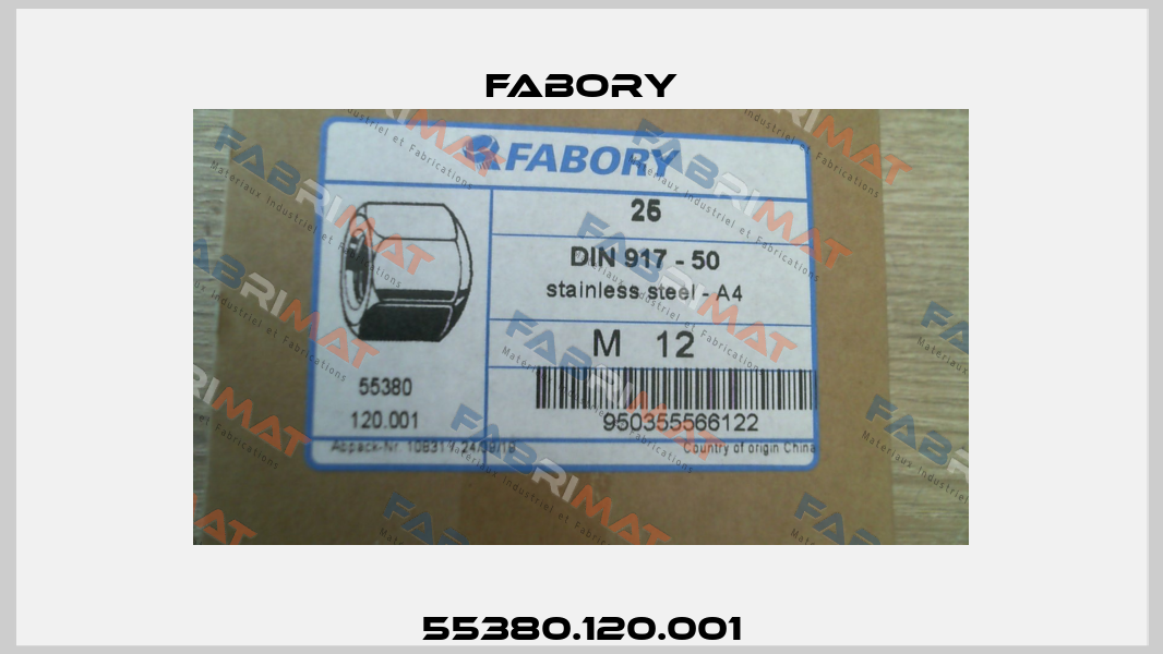 55380.120.001 Fabory