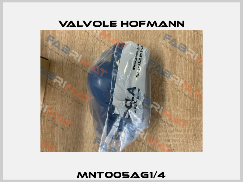 MNT005AG1/4 Valvole Hofmann