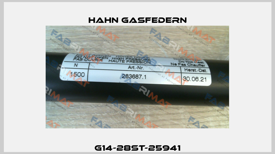 G14-28ST-25941 Hahn Gasfedern