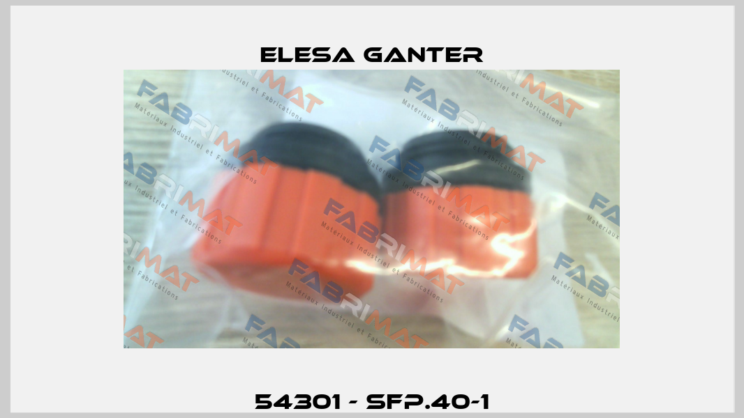 54301 - SFP.40-1 Elesa Ganter