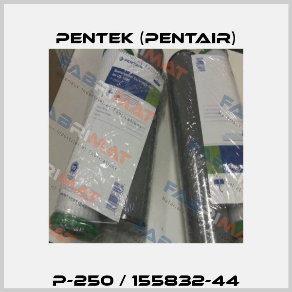 P-250 / 155832-44 Pentek (Pentair)