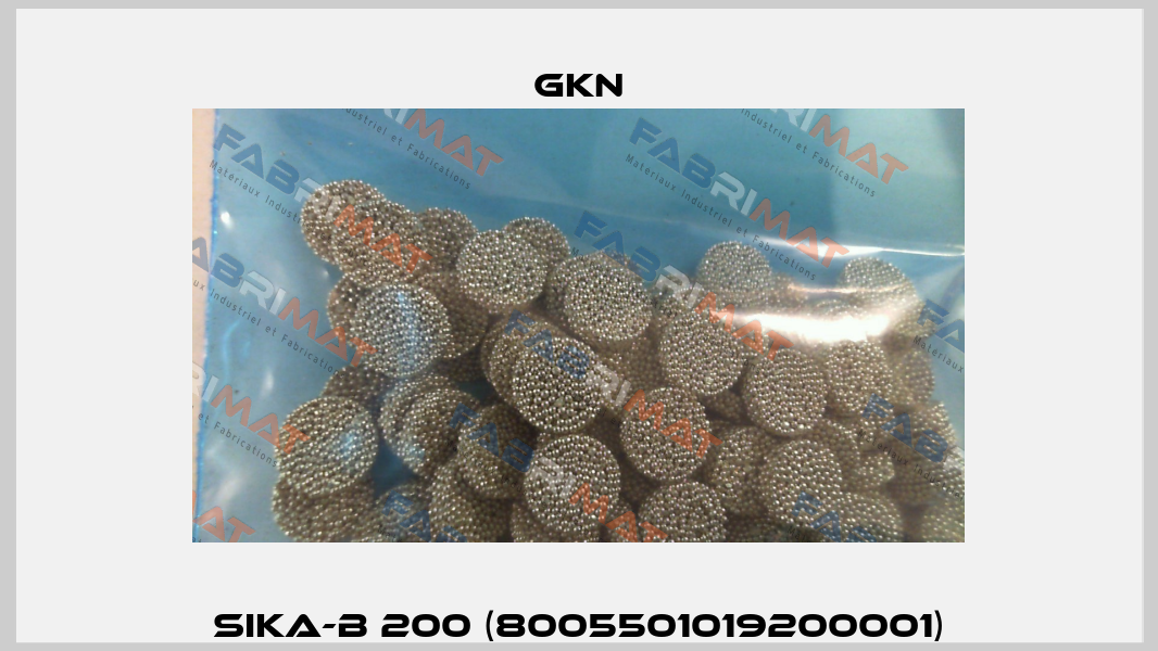 SIKA-B 200 (8005501019200001) GKN