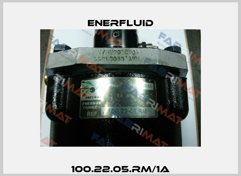 100.22.05.RM/1A Enerfluid