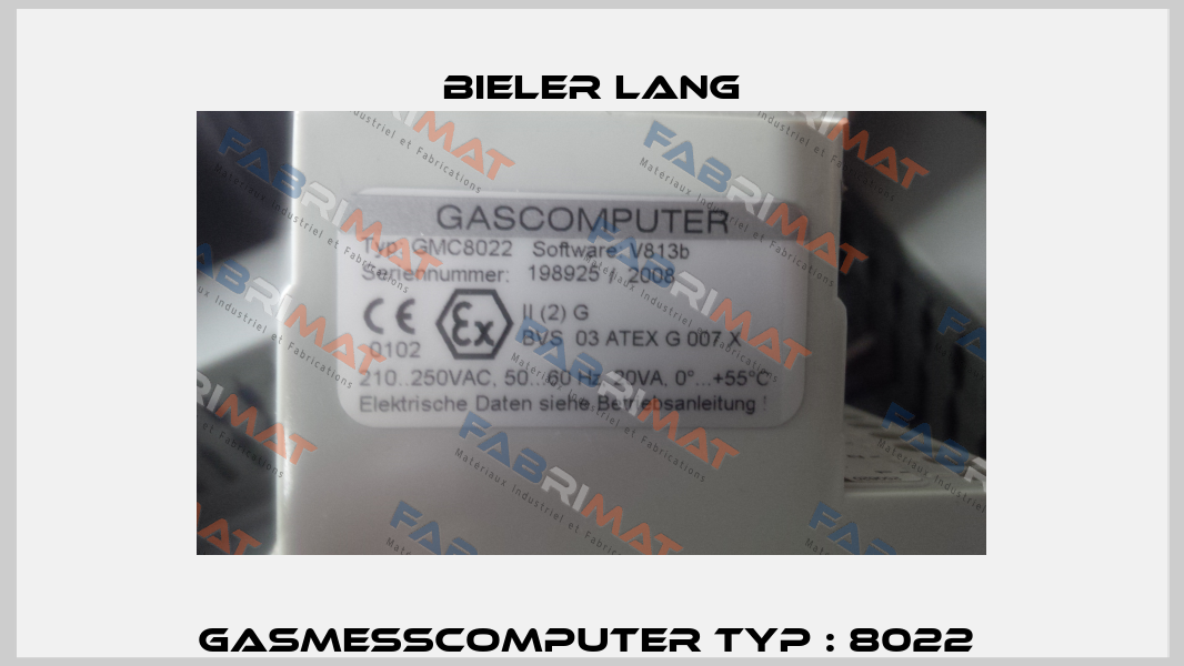 Gasmesscomputer Typ : 8022  Bieler Lang