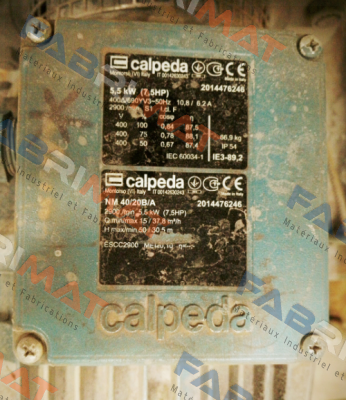 16006080000 Calpeda