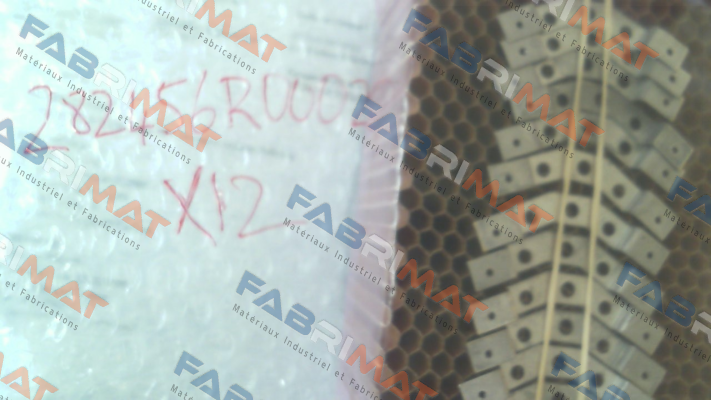 282456R0002 Parvex
