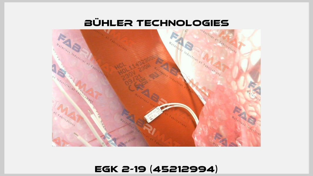 EGK 2-19 (45212994) Bühler Technologies