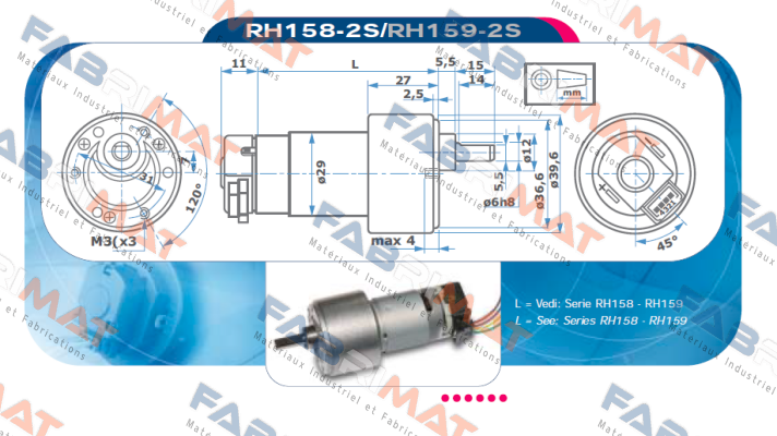 RH158-12-200 Micro Motors