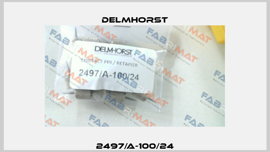 2497/A-100/24 Delmhorst