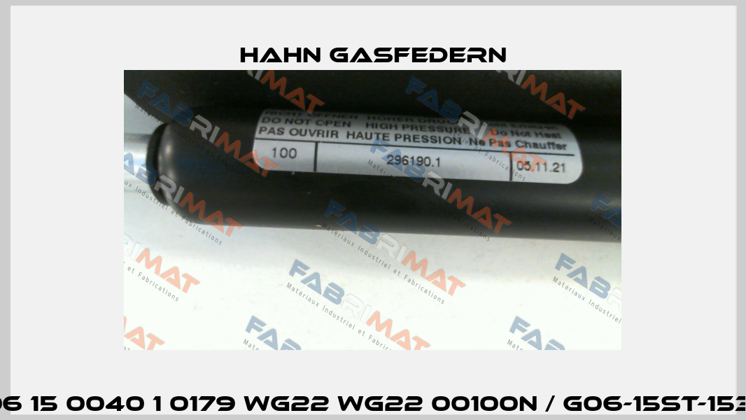 G 06 15 0040 1 0179 WG22 WG22 00100N / G06-15ST-15378 Hahn Gasfedern