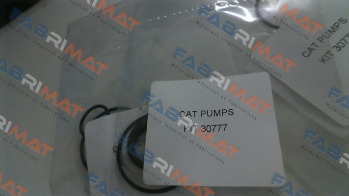 30777 Cat Pumps