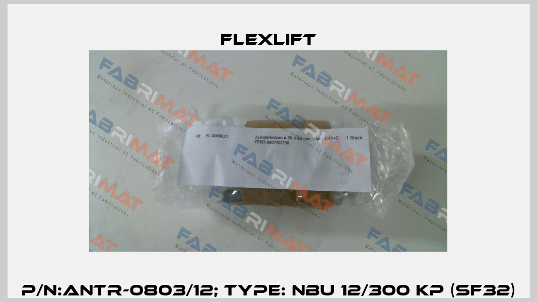 P/N:ANTR-0803/12; Type: NBU 12/300 KP (SF32) Flexlift