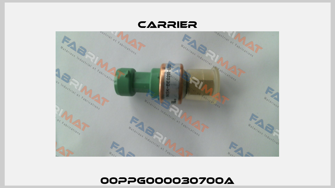 00PPG000030700A Carrier