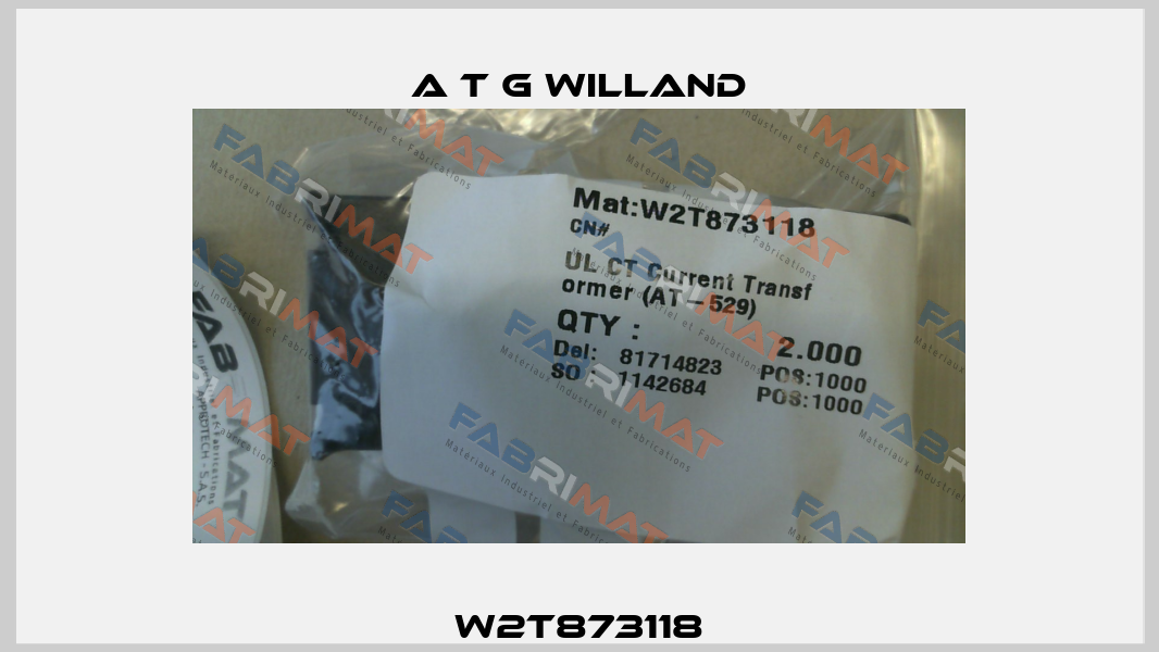 W2T873118 A T G Willand