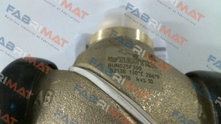 BUN025F300 Sauter