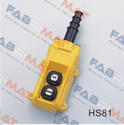 HS-81 Auspicious