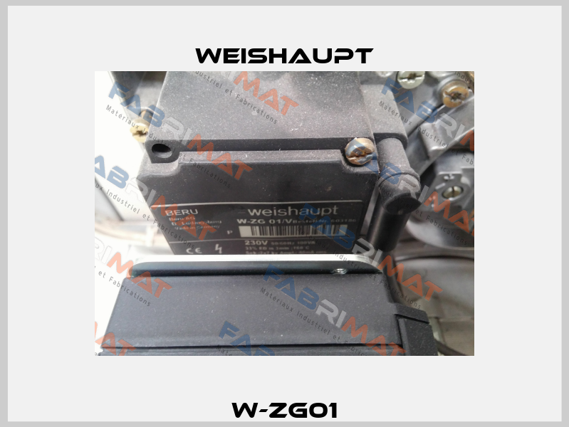 W-ZG01 Weishaupt