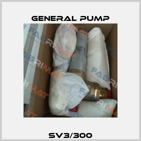 SV3/300 General Pump