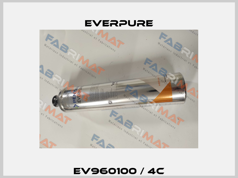 EV960100 / 4C Everpure