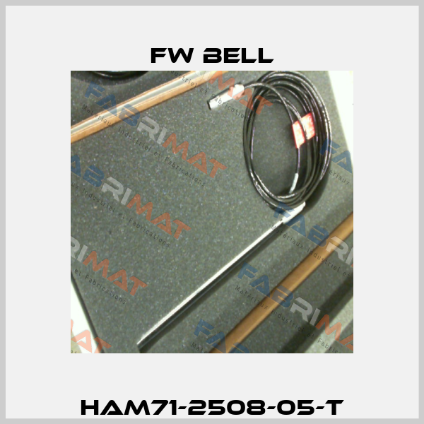 HAM71-2508-05-T FW Bell