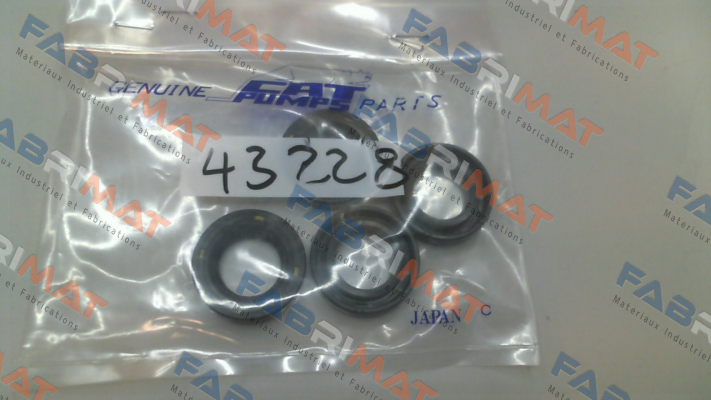 43228 Cat Pumps