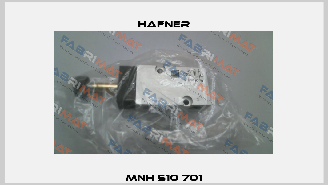 MNH 510 701 Hafner