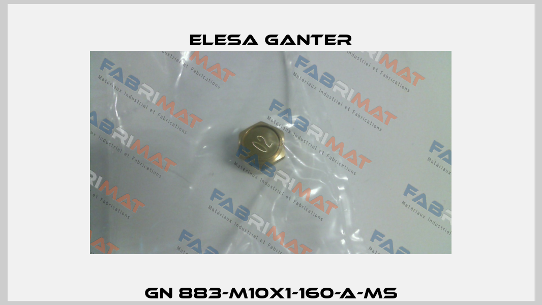 GN 883-M10x1-160-A-MS Elesa Ganter