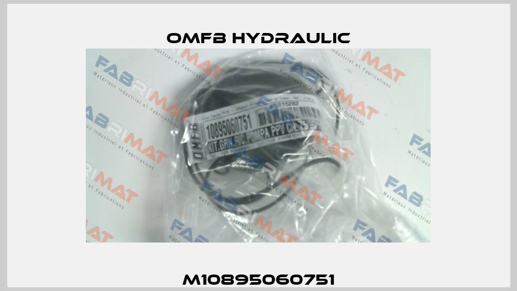 M10895060751 OMFB Hydraulic