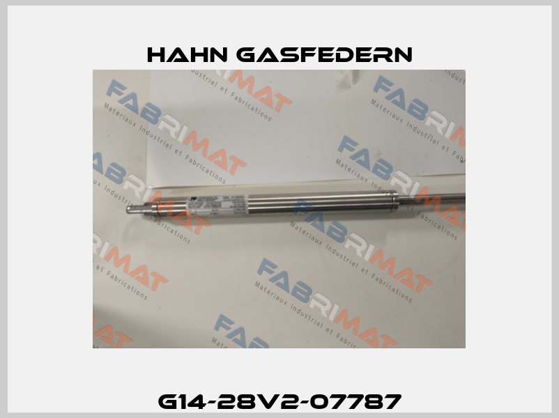 G14-28V2-07787 Hahn Gasfedern