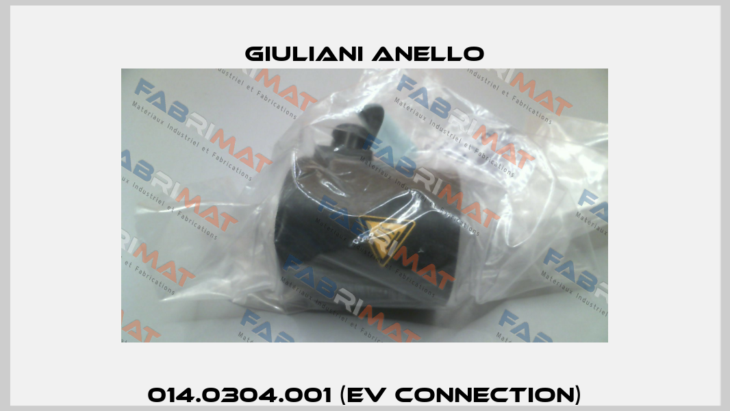 014.0304.001 (EV connection) Giuliani Anello