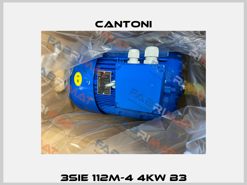 3SIE 112M-4 4kW B3 Cantoni