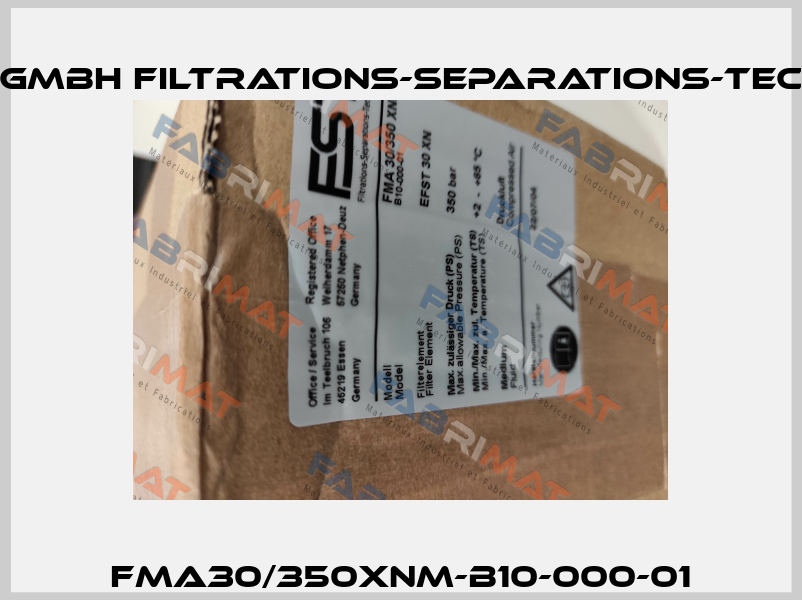 FMA30/350XNM-B10-000-01 FST GmbH Filtrations-Separations-Technik