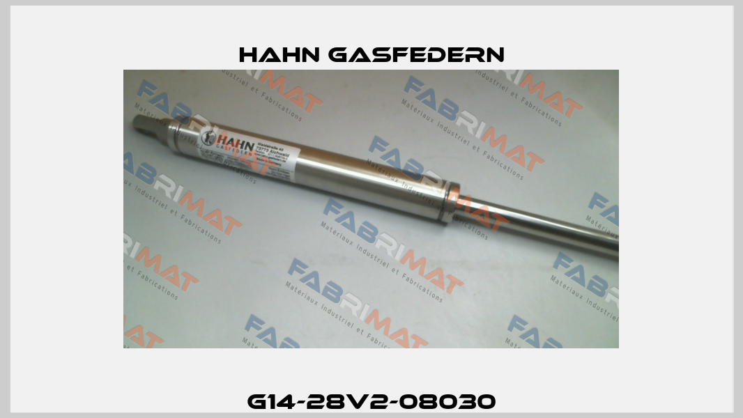 G14-28V2-08030 Hahn Gasfedern