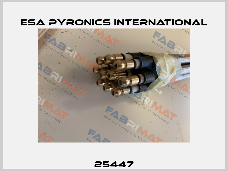25447 ESA Pyronics International