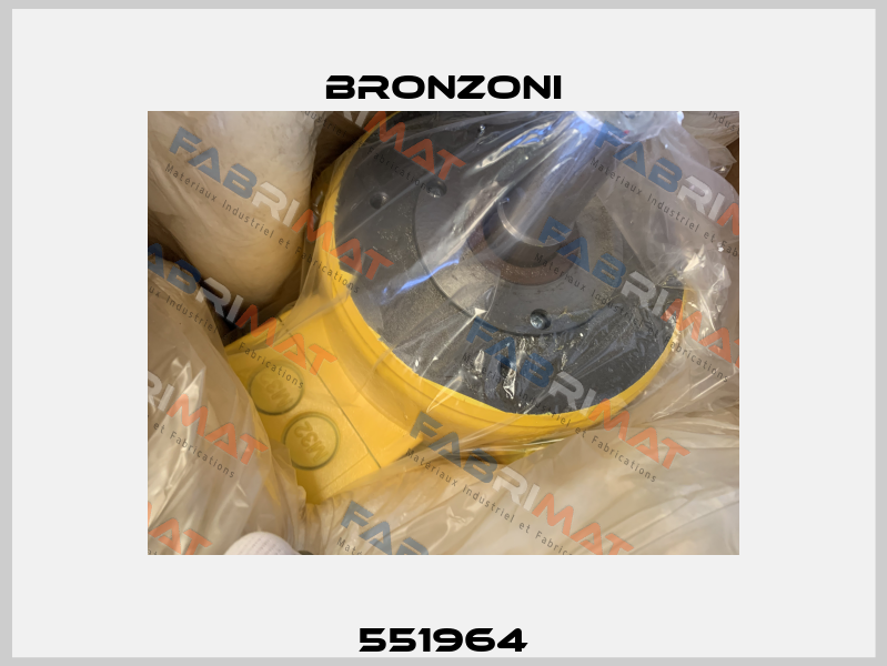 551964 Bronzoni