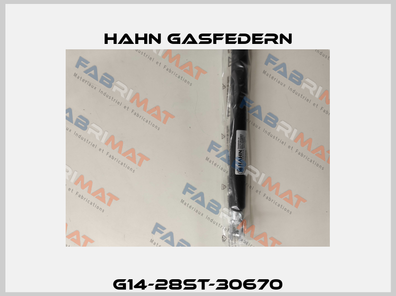 G14-28ST-30670 Hahn Gasfedern