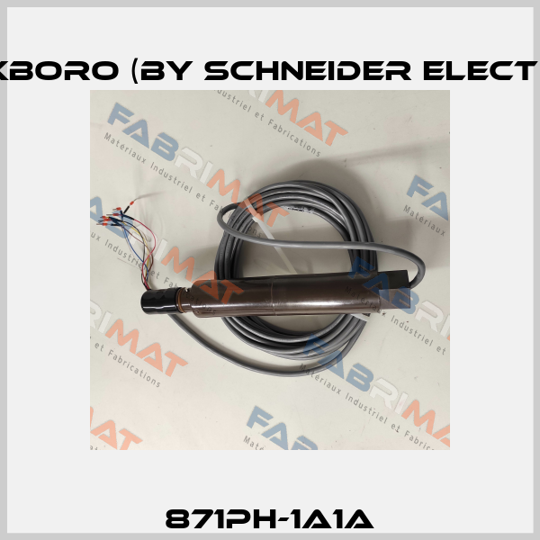 871PH-1A1A Foxboro (by Schneider Electric)