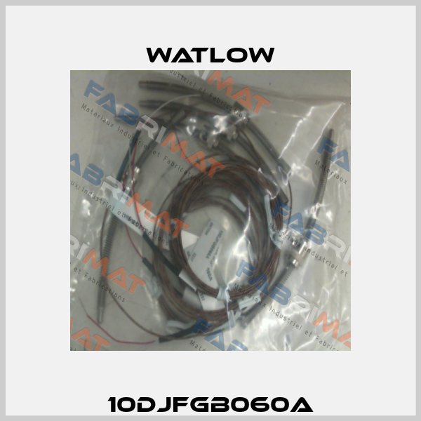 10DJFGB060A Watlow