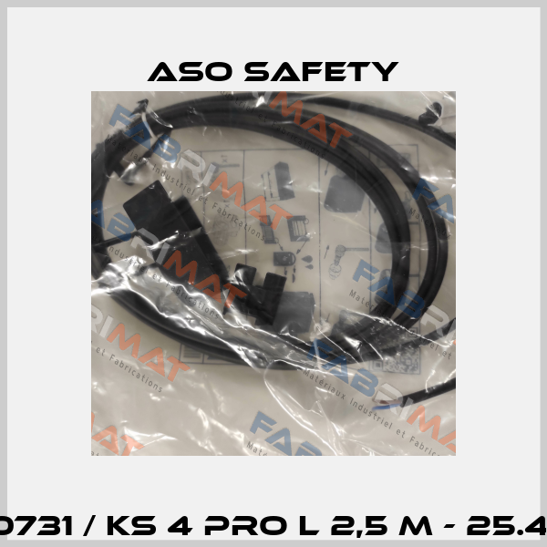 1804-0731 / KS 4 PRO L 2,5 m - 25.45-Set ASO SAFETY