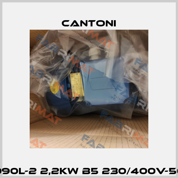 3SIEK 090L-2 2,2kW B5 230/400V-50Hz IE3 Cantoni