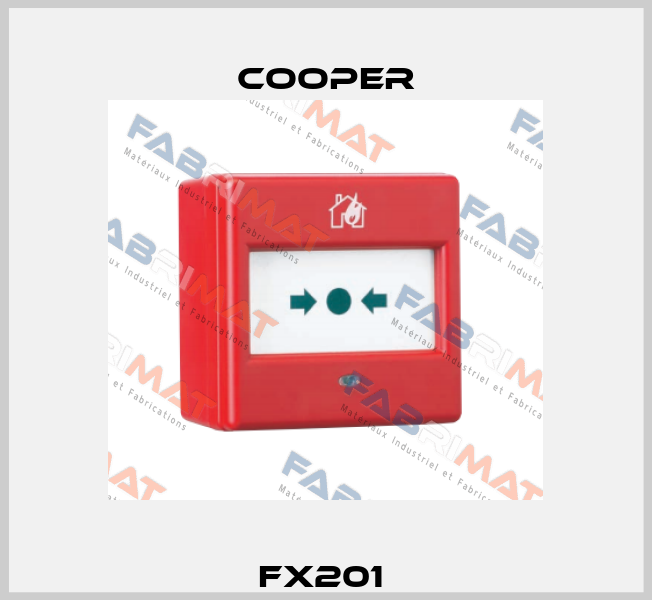 FX201  Cooper