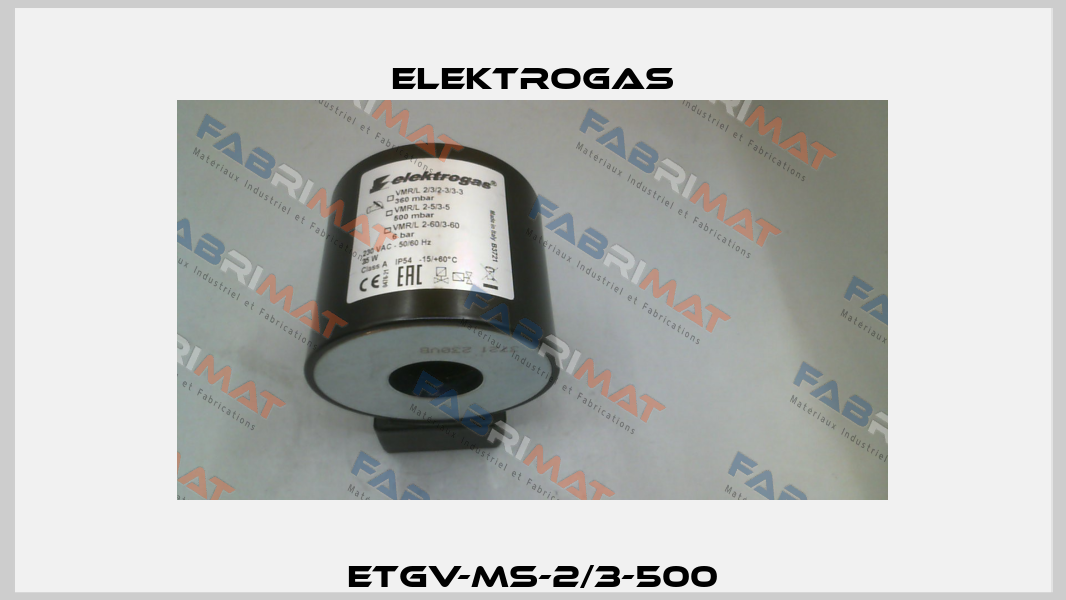 ETGV-MS-2/3-500 Elektrogas