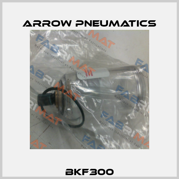BKF300 Arrow Pneumatics