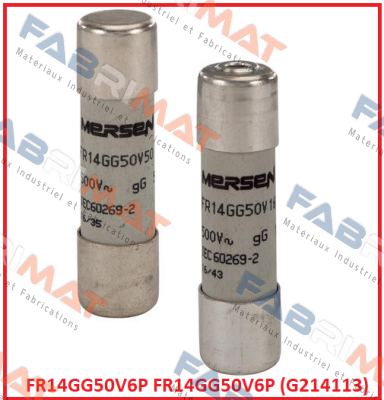 FR14GG50V6P (G214113) Mersen