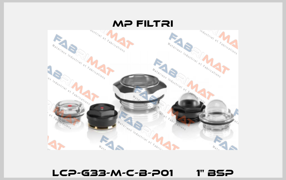 LCP-G33-M-C-B-P01       1" BSP MP Filtri