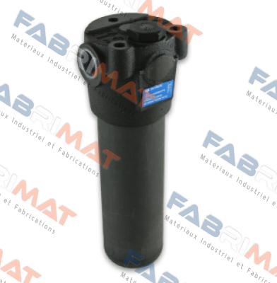 FMM-050-2-B-A-C-A06-N-P01 MP Filtri