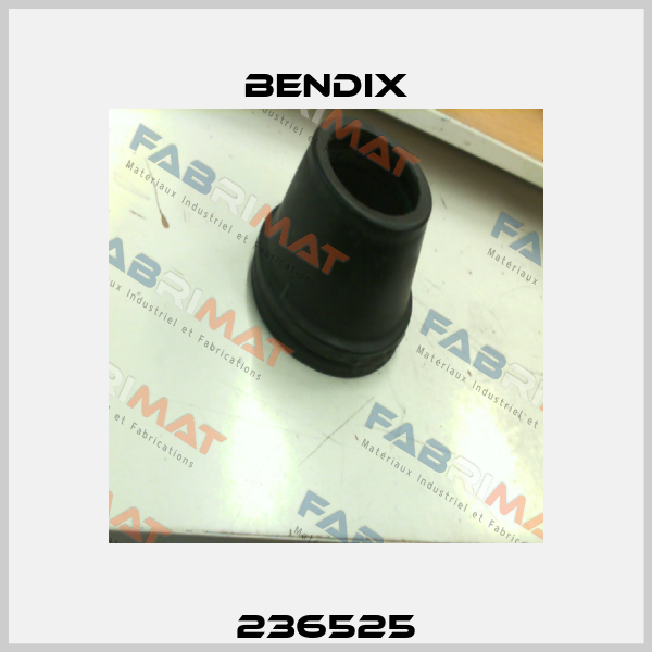 236525 Bendix