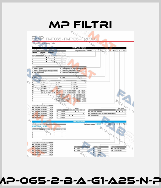 FMP-065-2-B-A-G1-A25-N-P01 MP Filtri