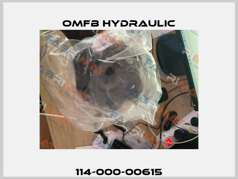 114-000-00615 OMFB Hydraulic