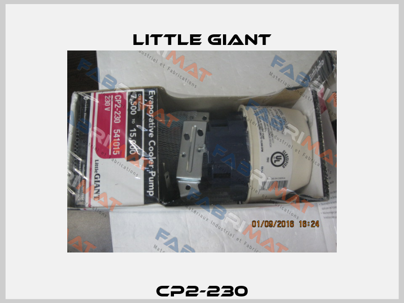 CP2-230 Little Giant